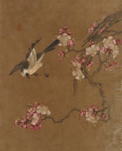 Birds and Flowers