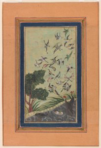 Birds at Baran, possibly from the Babur-nama by Unknown artist