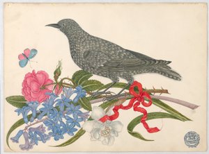 Black Bird with Blossoms, Butterfly, and Red Ribbon