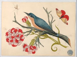 Blue Bird on Branch with Carnations and Insects by Unknown artist