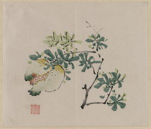 Branch with Pomegranate by Unknown artist