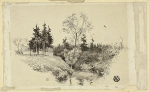 Brook in Forest by Unknown artist