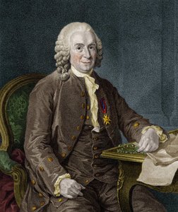 Carl Von Linné, Swedish naturalist and writer (1707 - 1778) by Unknown artist