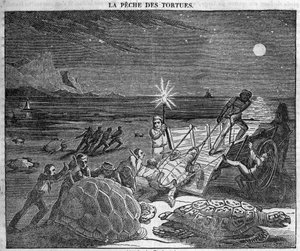 Catching Turtles on the Coast of Cuba - engraving 19th century