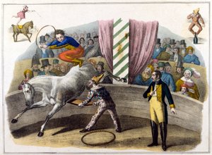Circus scene, squire doing aerobatics