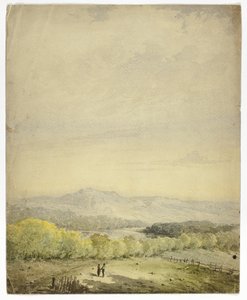 Couple Holding Hands in a Field