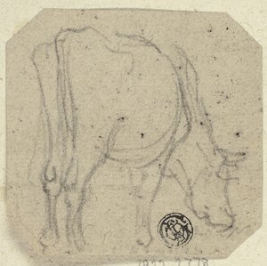 Cow Grazing