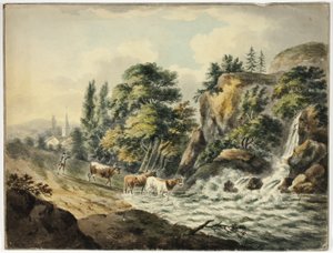 Cow Herd Driven to River