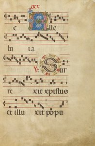 Decorated Initial A; Decorated Initial S by Unknown artist