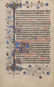 Decorated Initial D