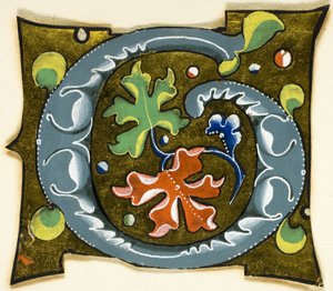 Decorated Initial "G" in Grey with Red, Green and Blue Leaves from a Manuscript by Unknown artist