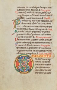Decorated Initial O