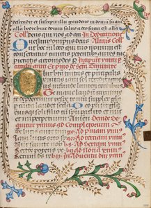 Decorated Initial O by Unknown artist