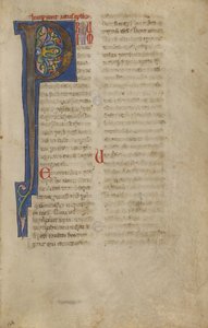 Decorated Initial P by Unknown artist