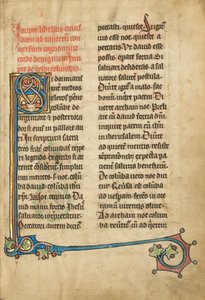 Decorated Initial S by Unknown artist