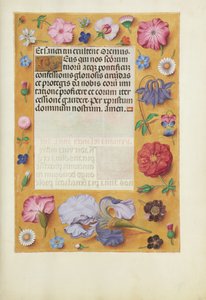 Decorated Text Page by Unknown artist