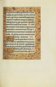 Decorated Text Page by Unknown artist