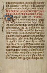 Decorated Text Page by Unknown artist