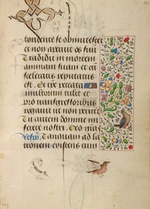 Decorated Text Page