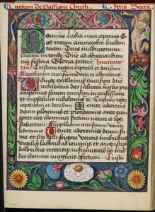 Decorated Text Page by Unknown artist
