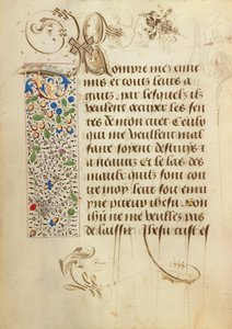 Decorated Text Page