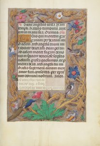 Decorated Text Page by Unknown artist