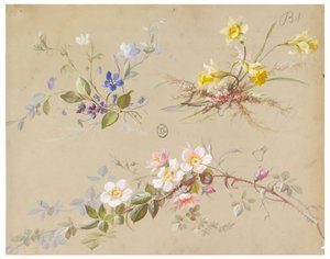 Design for Wallpaper and Textile: Flowers by Unknown artist