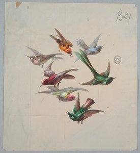 Design for Wallpaper and Textiles: Birds