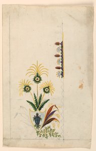 Design for a Waistcoat by Unknown artist
