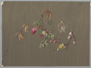Designs for Wallpaper and Textiles: Flowers by Unknown artist
