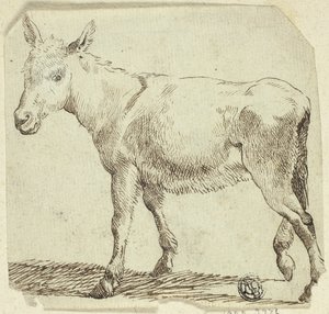 Donkey by Unknown artist