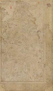 Drawing of Animals and Plants