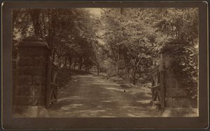 Entrance to Silver Spring by Unknown artist