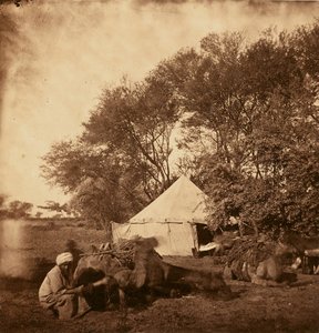 Faiyum Oasis by Unknown artist