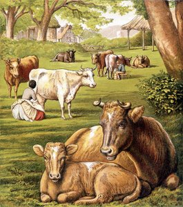 Farmers Drawing Milk. 19th Century by Unknown artist