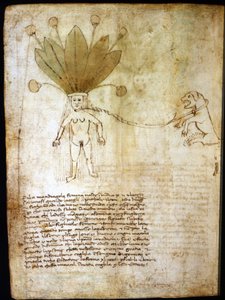 Female mandrake, extracted from a herb of the 14th century