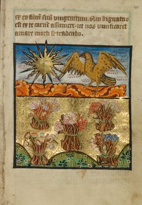 Five Bunches of Flowers by Unknown artist