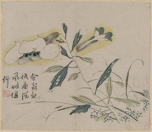 Flowering Lily by Unknown artist