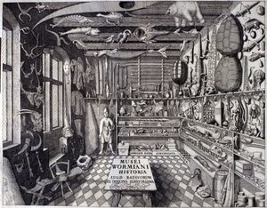 Frontispiece of “Musei Wormiani Historia” showing the interior of the cabinet of curiosities of Ole Worm by Unknown artist