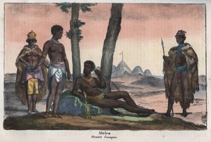 Gonqui Hottentots of the Cape - Engraving from 