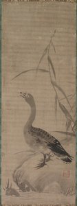 Goose