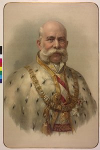 Half-Length Emperor Franz Joseph I in the Fleece Robe by Unknown artist