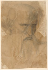Head of an Elderly Bearded Man