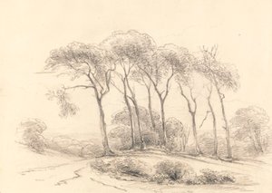 High Trees by Unknown artist