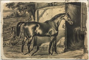Horse in Front of a Barn (verso) by Unknown artist