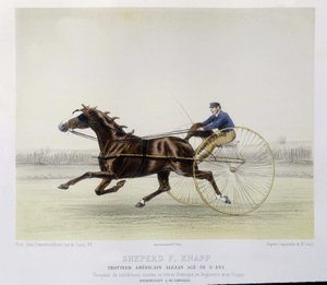 Horse riding: Shepherd F. Knapp, trotter - in 