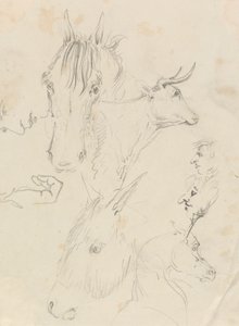 Horses, Cow and Men