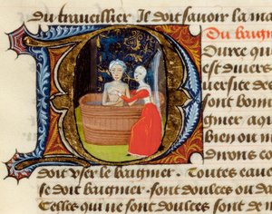 Hygiene and benefits of the toilet, from the Treaty of Medicine by Aldebrande of Florence, manuscript by Unknown artist