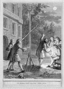 Illustration of the fable 