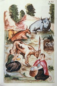 Indian shepherds caring for cows, from the book "Trujillo del Peru" or "Códice Martínez Compañón", by Baltazar Martinez Compañón y Bujanda, bishop of Trujillo (1782-1785) by Unknown artist